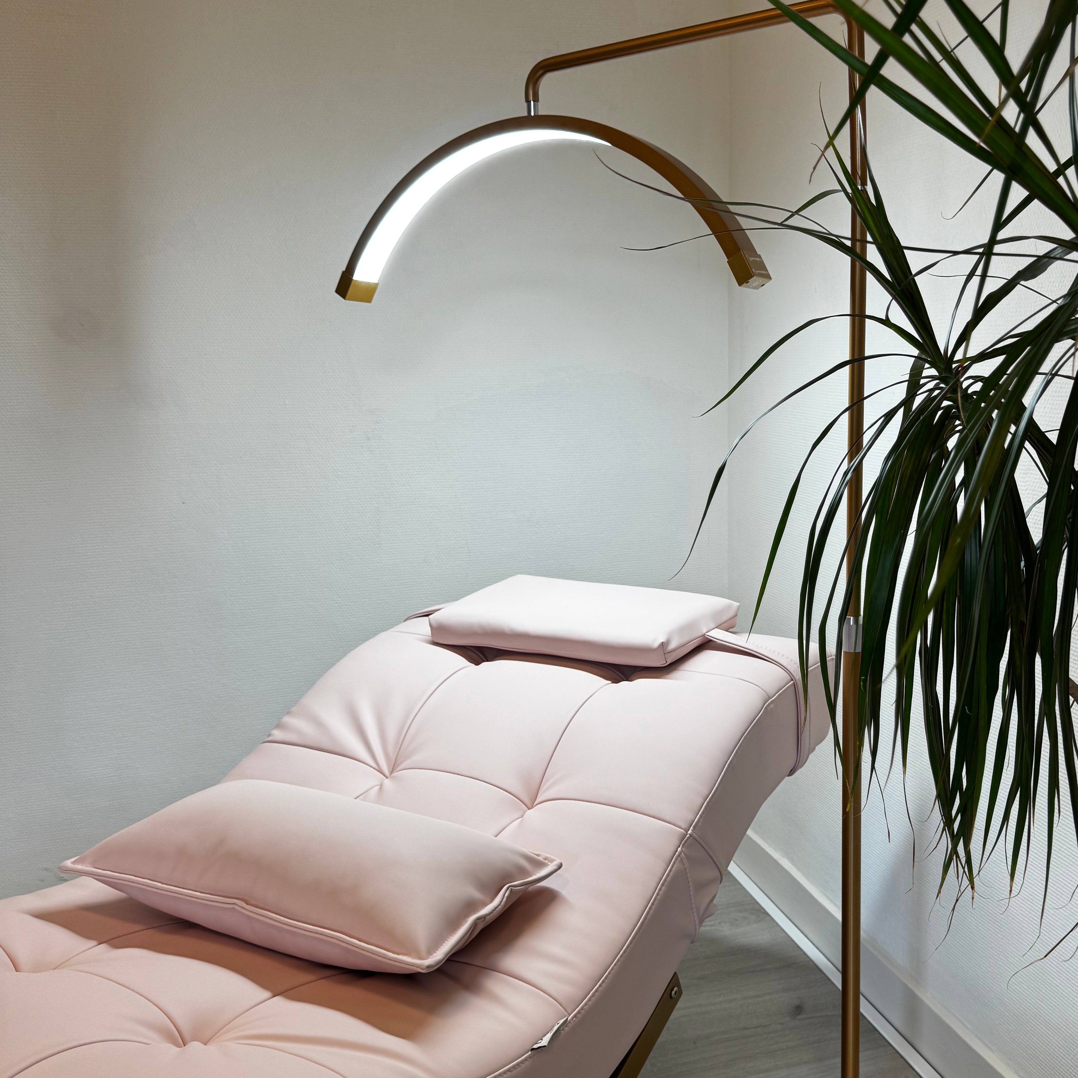 Leather Look Pink With Gold