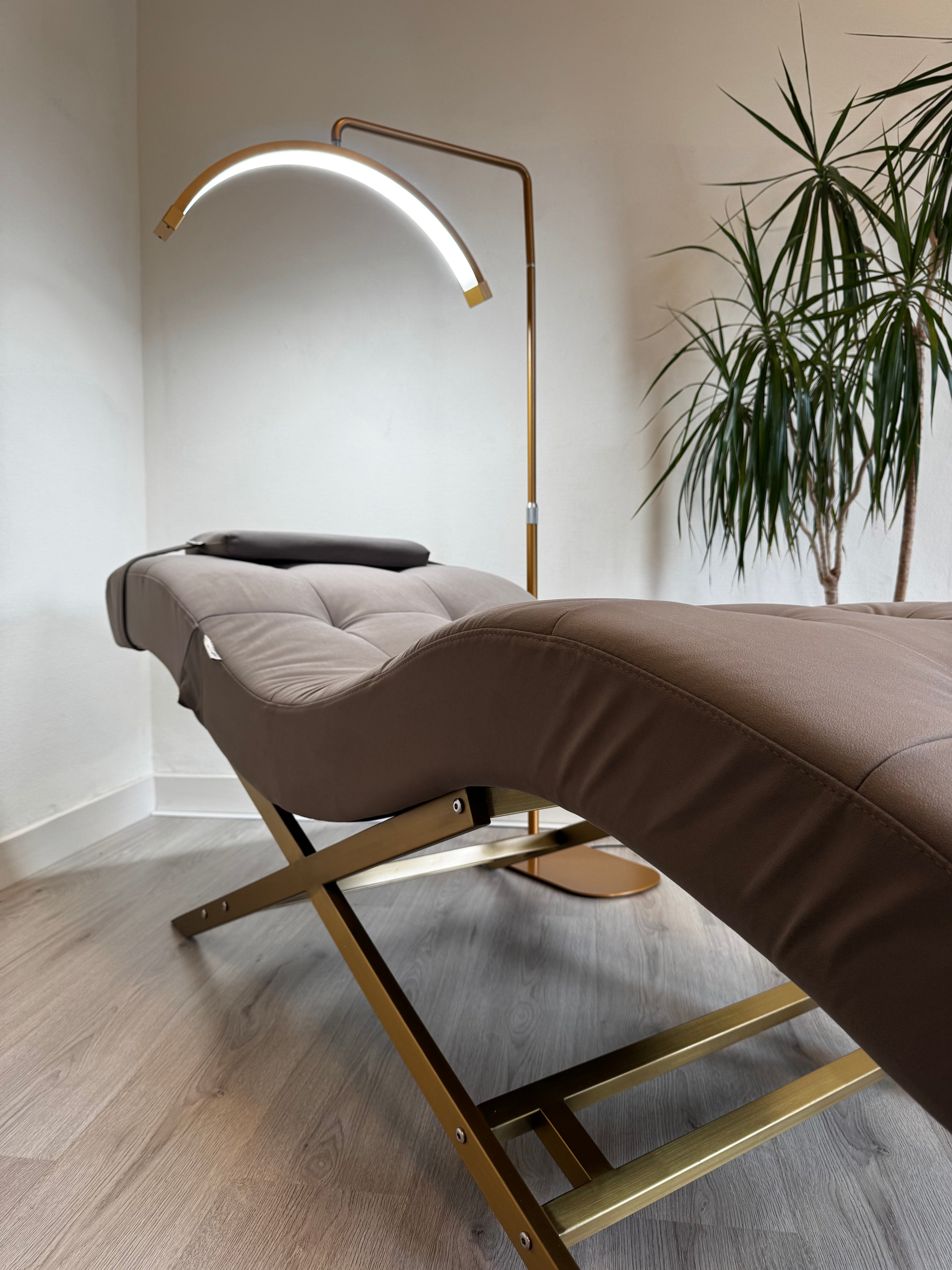 Velvet Taupe With Gold